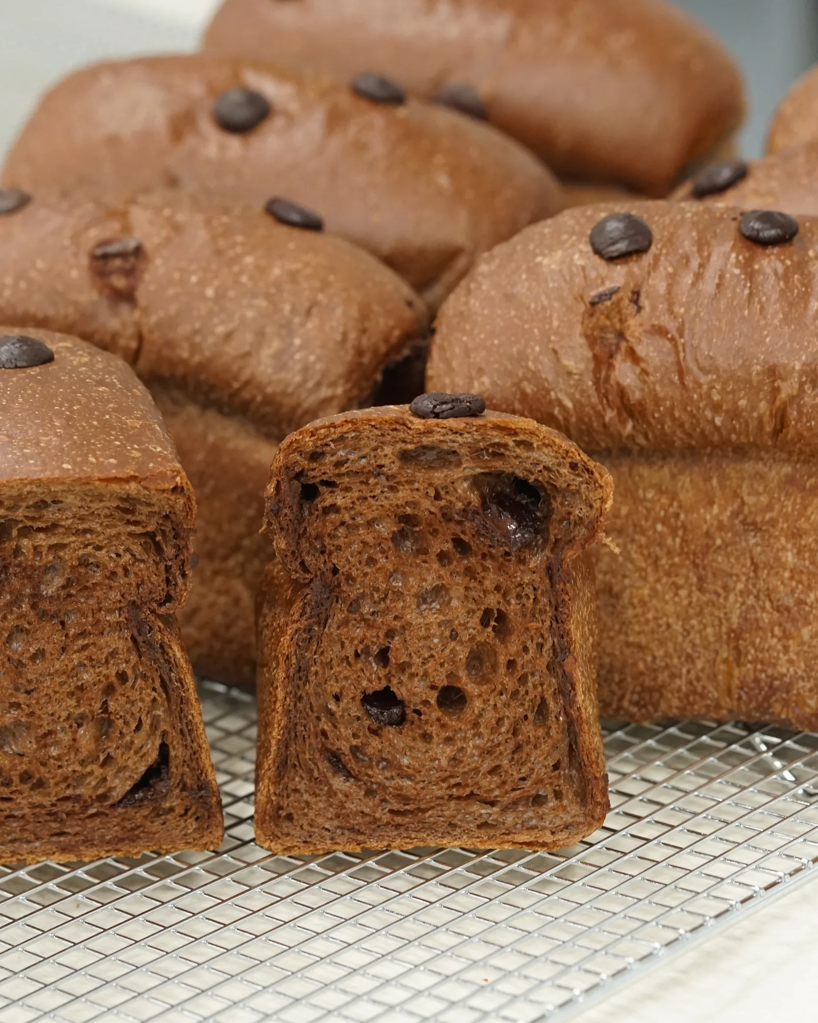 Dark Chocolate Sourdough Milk Bread