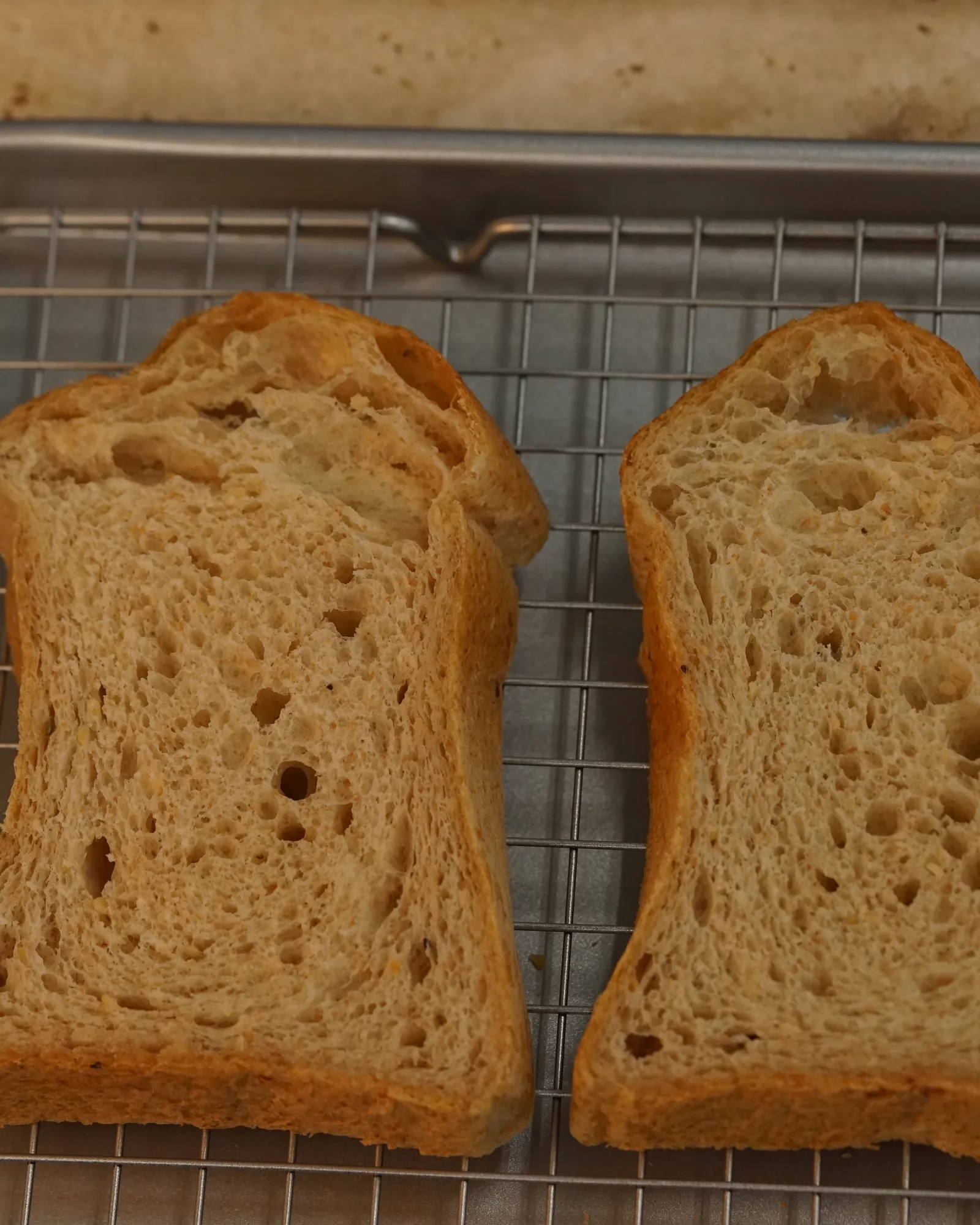 Hemp Seed Whole-Wheat Milk Bread