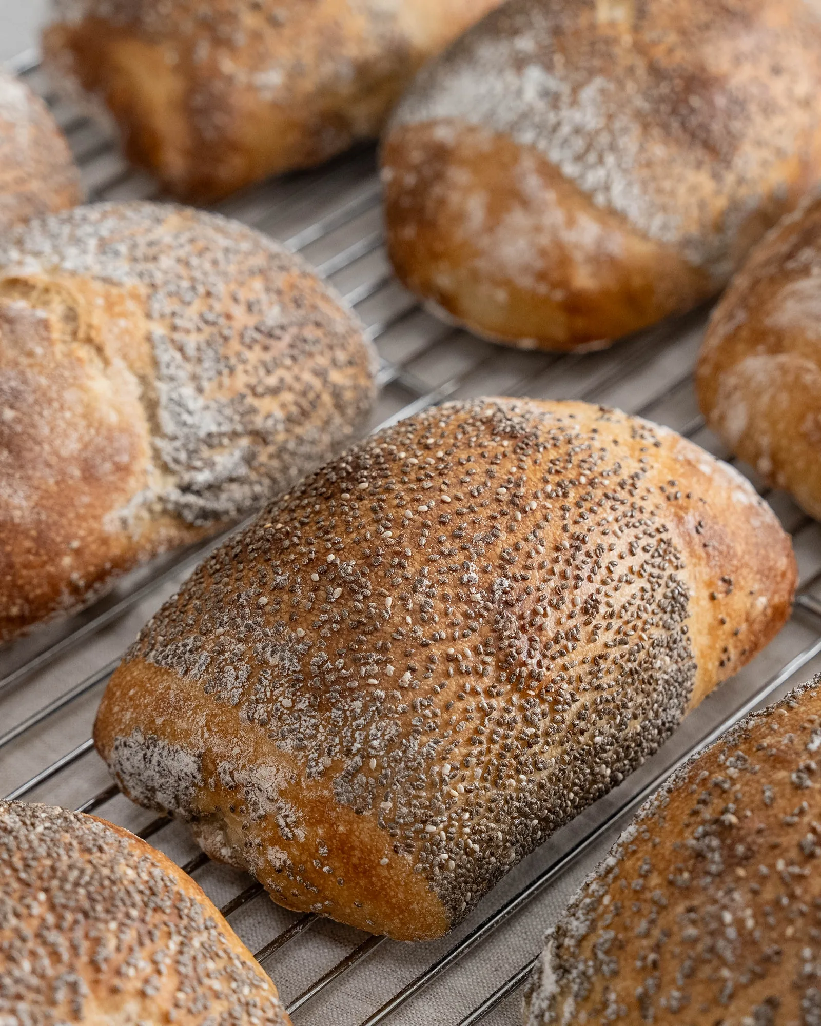 Olive Oil & Chia Ciabatta