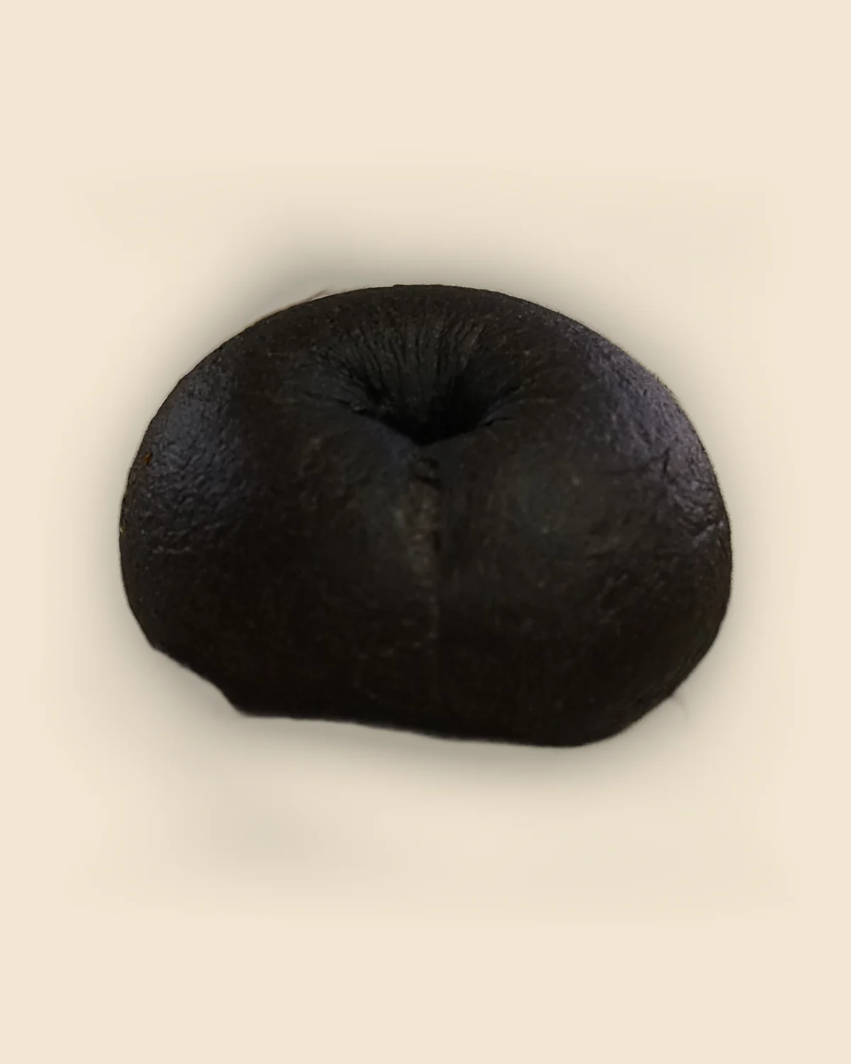 Squid Ink & Cream Cheese